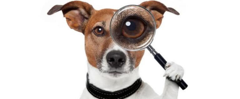 5 Signs You Need to Repipe Your Plumbing