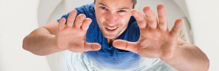 Investigate and Find Out the Culprit Clog in Your Toilet