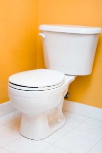 How Low Flow toilets help you stay green